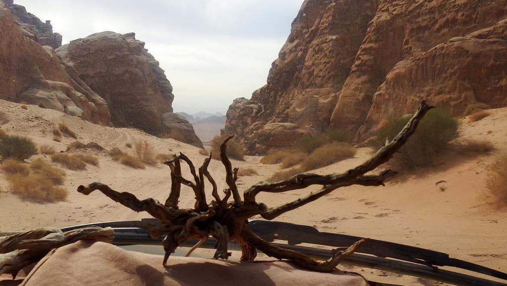 Salem Camp Hotel Wadi Rum Exterior photo